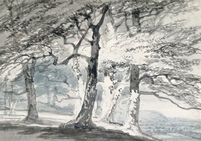 Norbury Park, Surrey von Joseph Mallord William (attr.to) Turner
