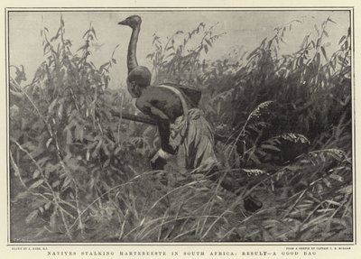 Einheimische pirschen Hartebeeste in Südafrika, Ergebnis: Eine gute Beute von Joseph Nash