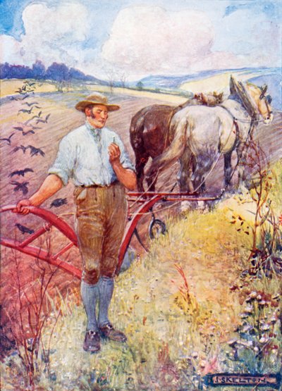 An ein Gänseblümchen von Robert Burns von Joseph Ratcliffe Skelton