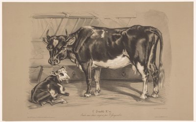 Koe met kalf in een stal von Joseph Zephyris Gengembre