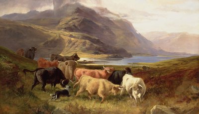 Hochlandrinder mit einem Collie von Joseph and Adam, Joseph Denovan Adam