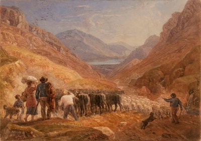 Hirten treiben Rinder und Schafe durch den Tal-y-Llyn-Pass in Wales von Joshua Cristall