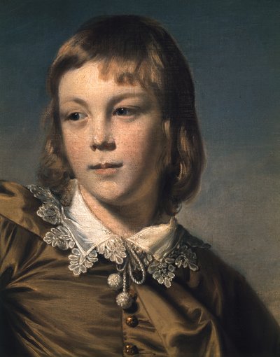 Meister Thomas Lister Der Braune Junge, 1764 (Detail) von Joshua Reynolds