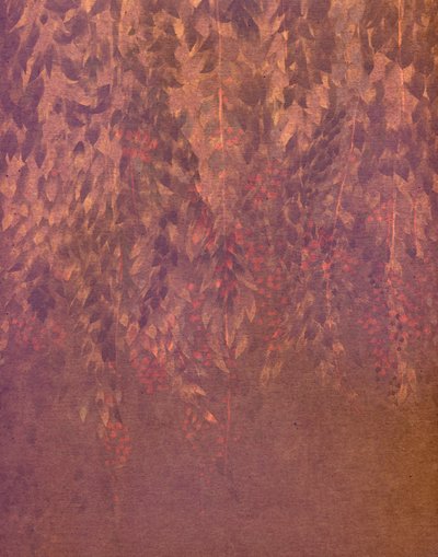 Kaskadierende Wisteria-Blüten von Josie George