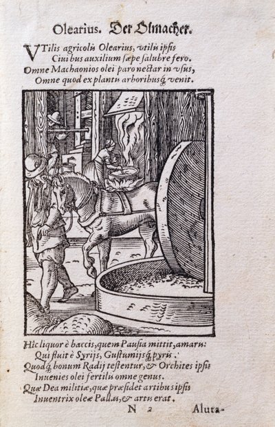 Ölmacher, Illustration aus der lateinischen Ausgabe von 