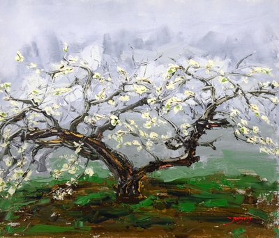 Frühlingsblütenbaum von Jukyong Park