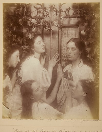 Haben wir nicht gehört, der Bräutigam ist so süß von Julia Margaret Cameron