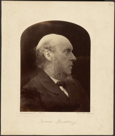 James Spedding von Julia Margaret Cameron