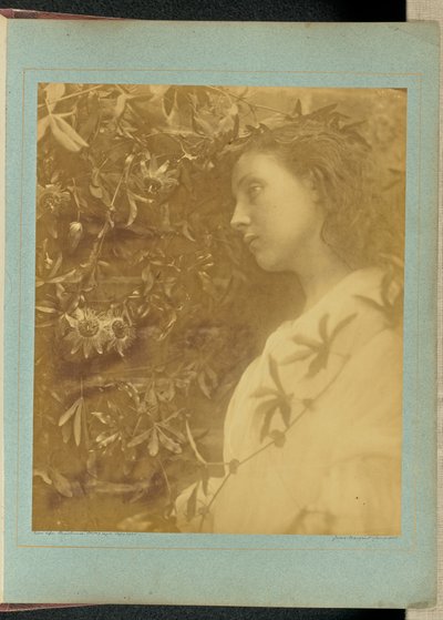 Maud "Es ist eine prächtige Träne gefallen" / "Von der Passionsblume am Tor." von Julia Margaret Cameron