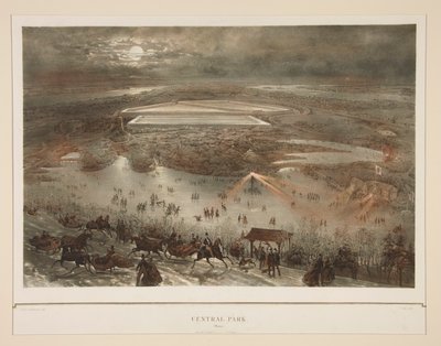 Central Park (Winter) von Julius Bien