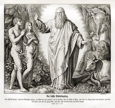 Sechster Tag der Schöpfung, Genesis von Julius Schnorr von Carolsfeld