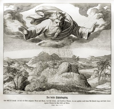 Dritter Tag der Schöpfung, Genesis von Julius Schnorr von Carolsfeld
