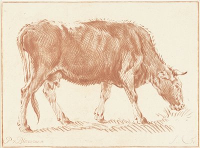 Weidende Kuh von Jurriaan Cootwijck