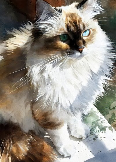 Strahlende Aquarellkatze von Justyna Jaszke