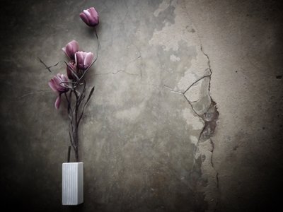 Stimmungsvolle Lila Blumen Beton von Kahar Lagaa