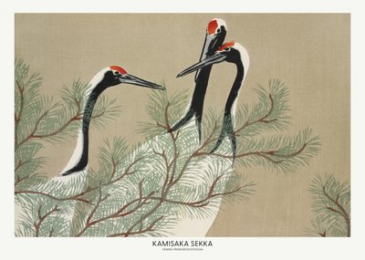 Kraniche aus Momoyogusa von Kamisaka Sekka