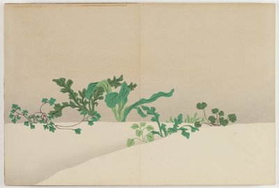 Blumen von Hundert Welten: Sieben Kräuter des frühen Frühlings von Kamisaka Sekka