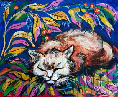 Friedlich Schlafende Katze von Kanat Ibragimov