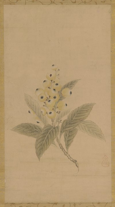Ein Zweig mit Mispeln, Edo-Periode, 17. Jahrhundert von Kanō Tan’yū