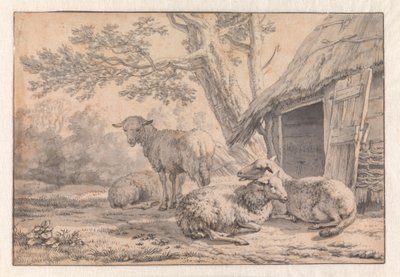 Schafe bei einer Scheune von Karel Dujardin