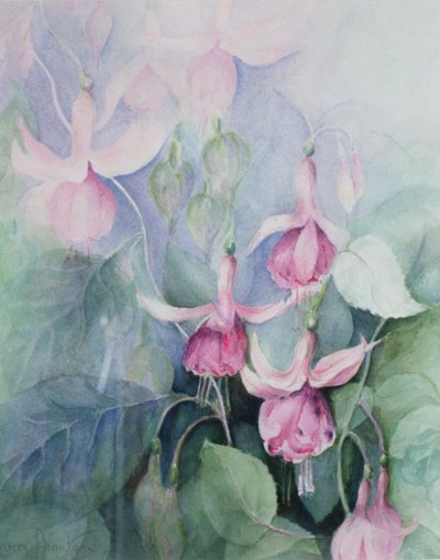 Fuchsie, rosa Kutscher von Karen Armitage