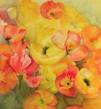Isländische Mohnblumen Nudicaule von Karen Armitage