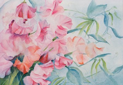 Lathyrus Odoratus, Duftwicke (horizontal) von Karen Armitage