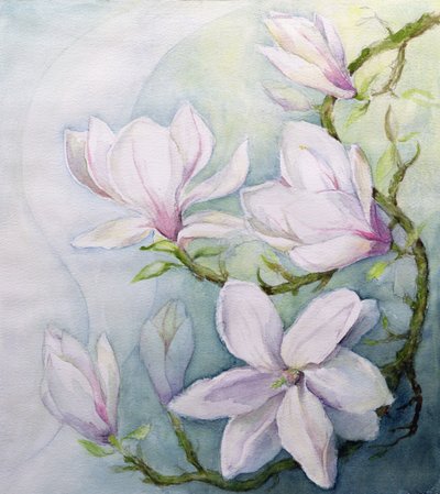 Magnolien von Karen Armitage