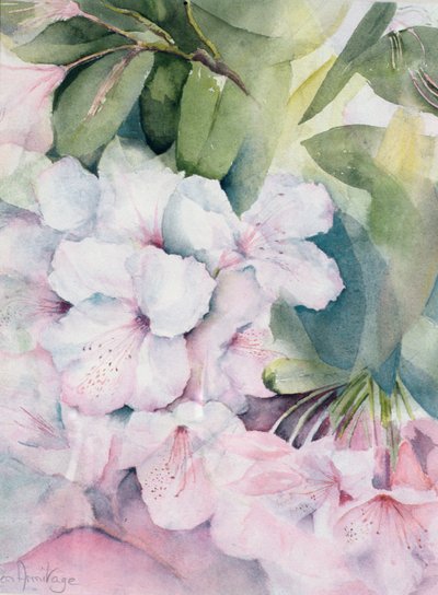 Morgenmagie von Karen Armitage