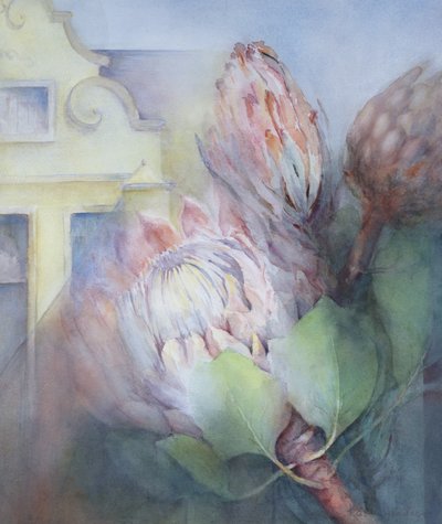 Protea in Stellenbosch, 1992 von Karen Armitage