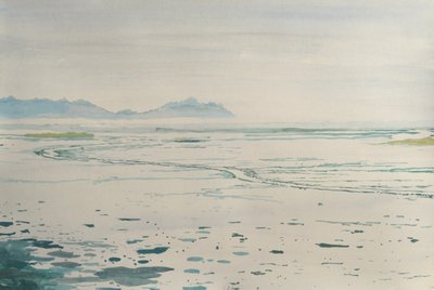 Neblige Küstenlandschaft von Karin Bos