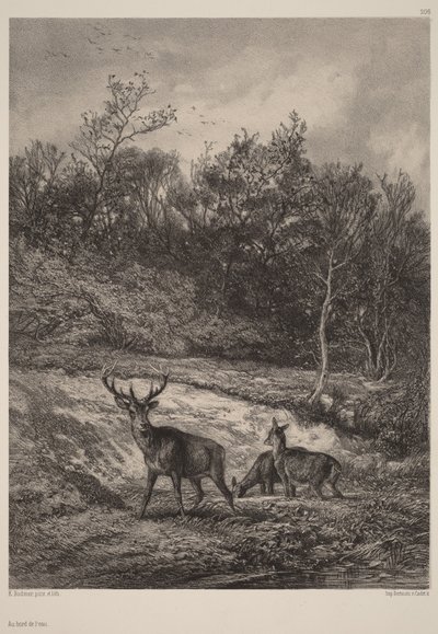 Am Wasser von Karl Bodmer