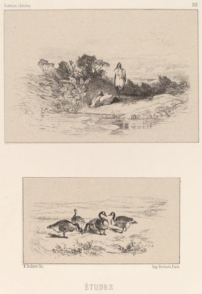 Studien von Karl Bodmer