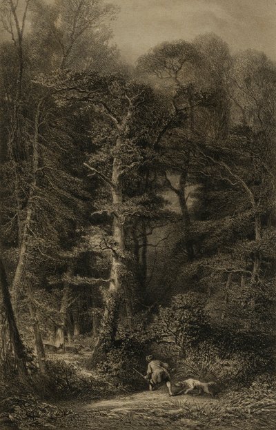 Waldinneres von Karl Bodmer