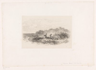 Landschaft mit zwei Weißwedelhirschen von Karl Bodmer