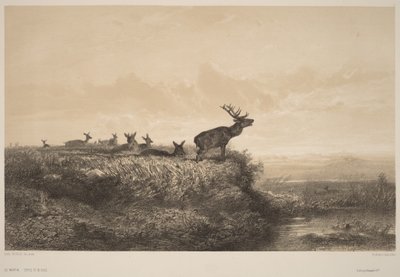 Der Morgen von Karl Bodmer