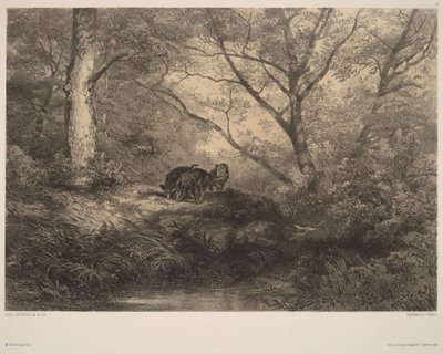 Wildschweine von Karl Bodmer