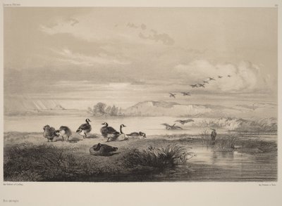  von Karl Bodmer
