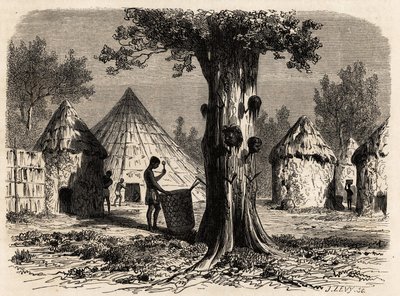 Der Baum des Krieges, in einem Dorf Djour, Region Bahr-el-Gazal, Sudan, Zeichnung von Karl Girardet (1813-1871) zur Illustration der Reise zum Fluss der Gazellen von A. Bolognesi, in 1856-1857. Gravur in „Le tour du monde“, herausgegeben von Edouard Charto von Karl Girardet