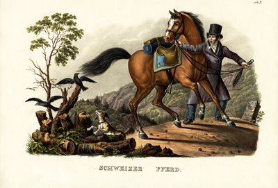 Schweizer Pferd, 1824 von Karl Joseph Brodtmann