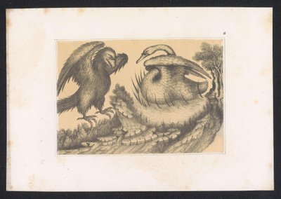 Schwan und Adler von Karl Palzow