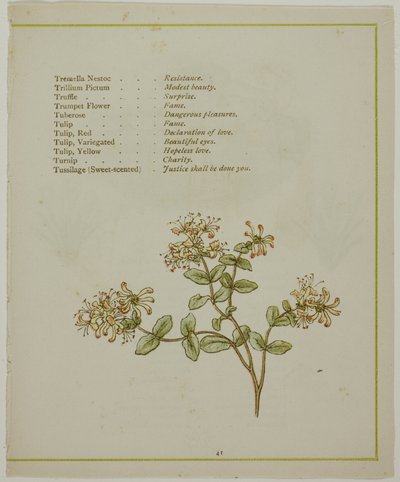 Valerian durch Volkamenia, aus Die erleuchtete Sprache der Blumen von Kate Greenaway