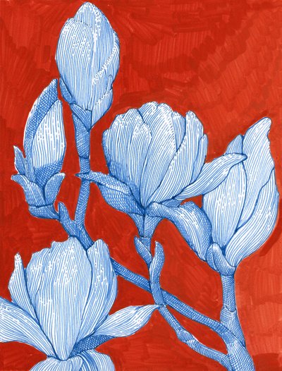 Ausdrucksstarke blaue Magnolien von Katie O'Shea