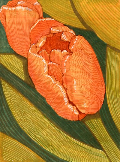 Linienzeichnung leuchtend orangefarbener Tulpen mit grünem Blatt von Katie O'Shea