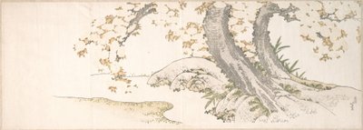 Blühende Kirschbäume an einem Bach von Katsushika Hokusai