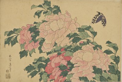 Schmetterling und Pfingstrosen von Katsushika Hokusai
