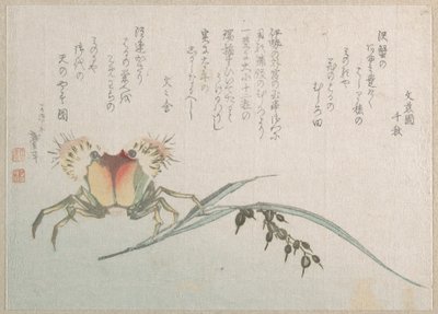 Krabbe und Reisplanze von Katsushika Hokusai