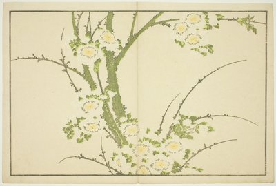 Blumen, aus Das Bilderbuch der realistischen Gemälde von Hokusai von Katsushika Hokusai