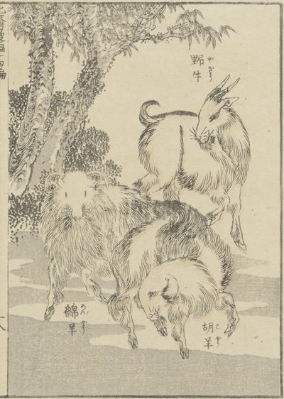Ziegen, ca. 1840 von Katsushika Hokusai