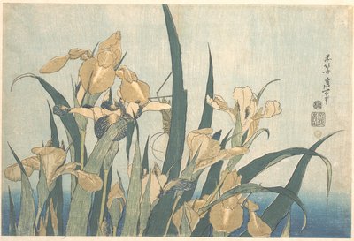 Grashüpfer und Iris von Katsushika Hokusai